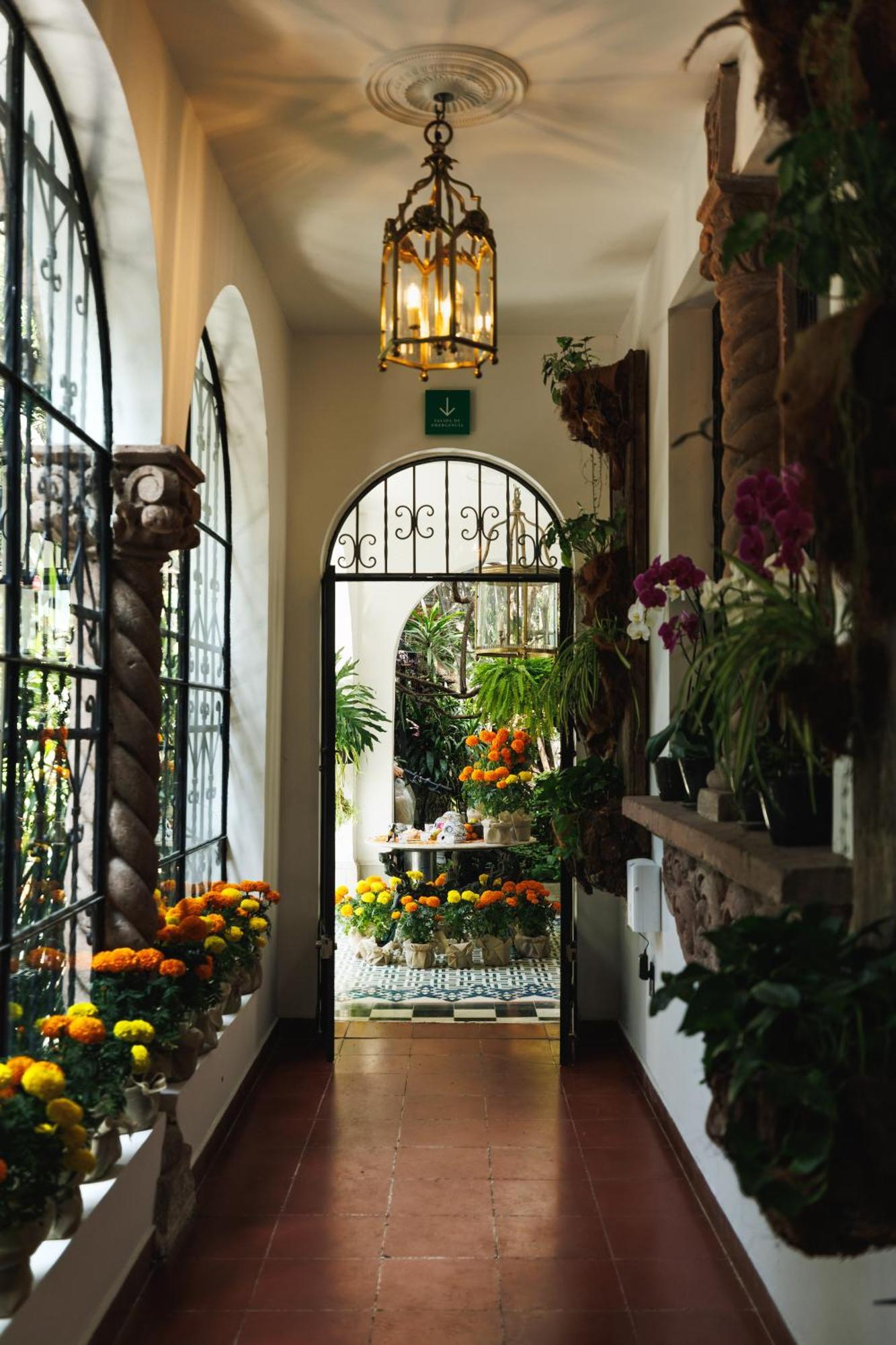 Hotel Orchid House Polanco Mexiko-Stadt Exterior foto